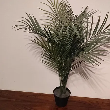 Apartment Jungle In For 4 Persons 24 H Check In Kelkheim