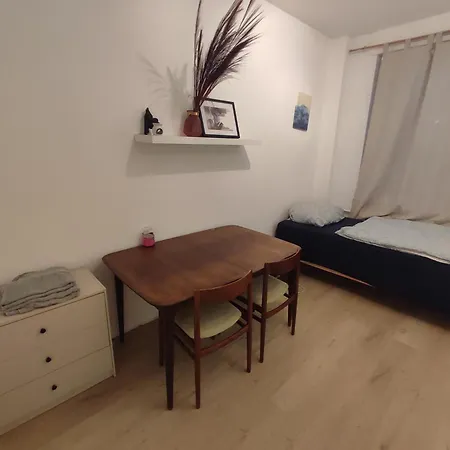 Jungle In For 4 Persons 24 H Check In Apartment Kelkheim
