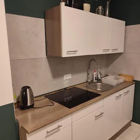 Appartamento Jungle In For 4 Persons 24 H Check In Kelkheim