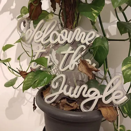 Appartamento Jungle In For 4 Persons 24 H Check In