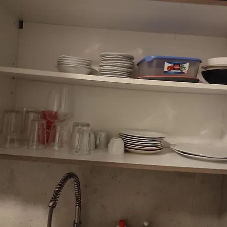 Jungle In For 4 Persons 24 H Check In *