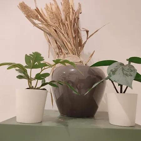 Jungle In For 4 Persons 24 H Check In * Kelkheim