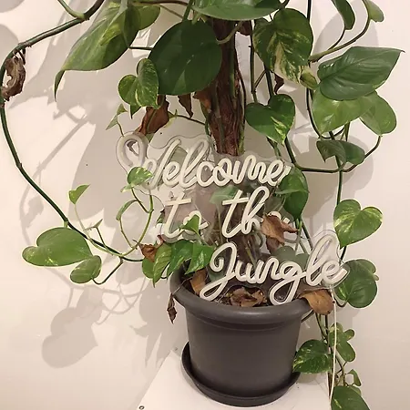 Jungle In For 4 Persons 24 H Check In * Kelkheim