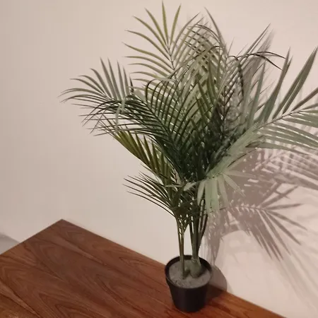 Jungle In For 4 Persons 24 H Check In Kelkheim