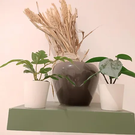 Jungle In For 4 Persons 24 H Check In Kelkheim