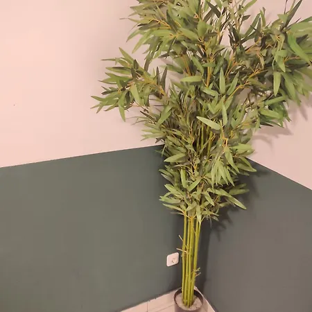 Apartment Jungle In For 4 Persons 24 H Check In *
